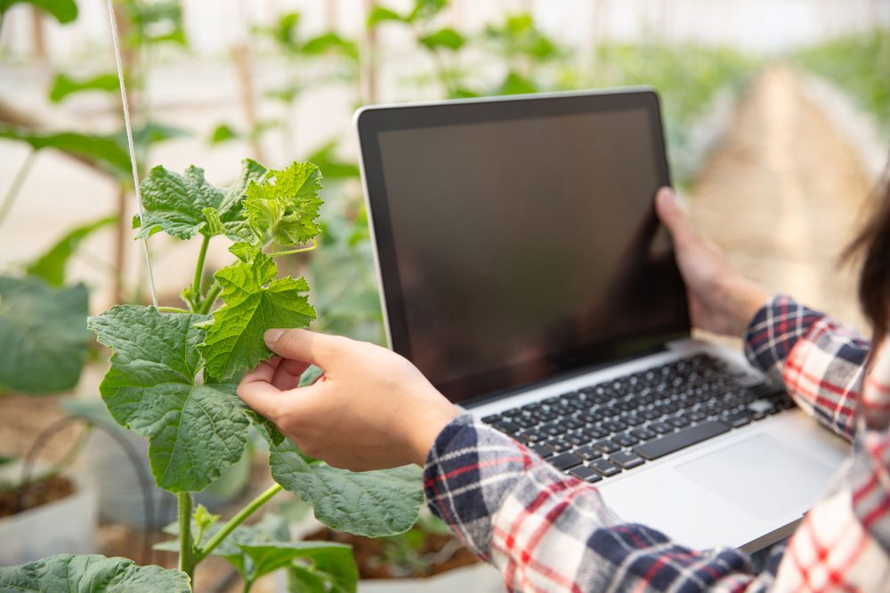Agroplanning suma su experiencia a GO Inverconec para digitalizar los invernaderos y hacerlos más eficientes.