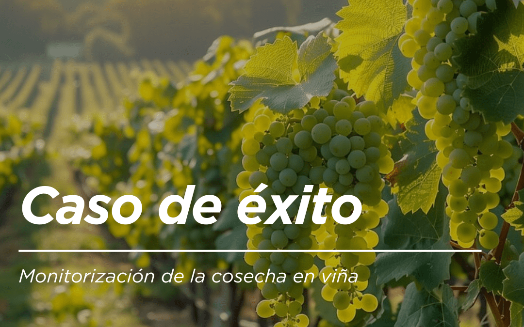 🌟 Caso de Éxito: Monitorización de la cosecha en viña 🌟